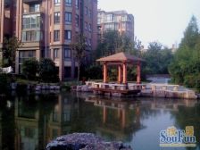 老街绿地郑东新苑三期 高楼层视野无遮挡 商品住宅 双卫