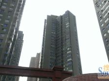 西安路 科学家公寓 封闭小区 电梯 精装 三代人居住