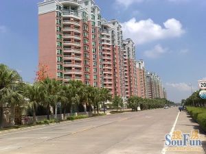 一线江景,东南向,精装,楼层好,视野开阔