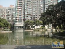 雅苑系列,飞机户型,双阳台户型方正,品质之选