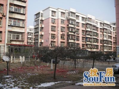  ���⡤�Ź�ׯ�֡�����Է��3�ҡ�1�� 
