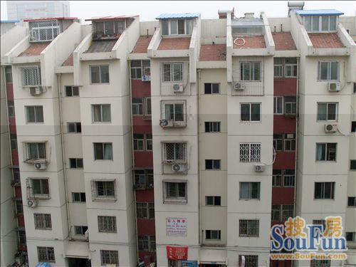 南湖东园一区实景图