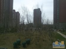 融景城 3室2厅 南 北