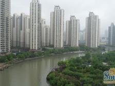 南向中低楼层,方正两房,中远两湾城新挂熊猫房源