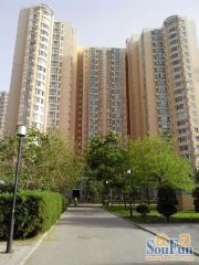 高层南向3居前后不临街绿化好双卫临朝阳路大悦城