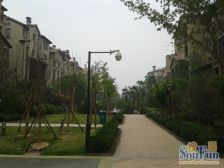 一楼带120平花园,户型方正带两层地下室,精装修