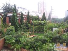 西安路四站地 结婚浅色精装修 15平封闭 位置好带阳台