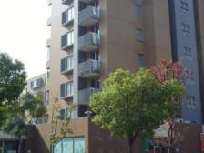 朗润园特色花园洋房 超大横厅!小区中心位置 采光好