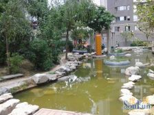 美景鸿城 双地铁 好楼层 全南三室 诚心出售 采光好