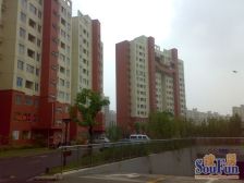 虹浦新城1室东朝向135.00万元/套出售