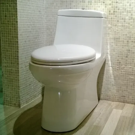 英皇卫浴 超漩虹吸陶瓷座便器马桶 节水连体坐便器防溅防臭dt-68