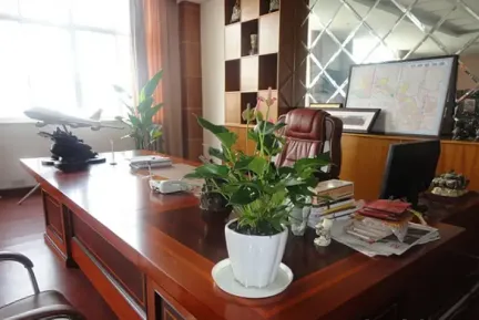 总经理办公室植物效果图