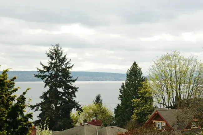 在售西雅图,cedar park,3室.75卫,独栋别墅