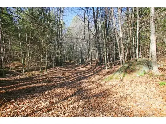 78  /- acres of diverse woodland privacy, bordering o