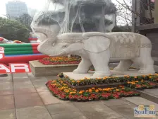 正规两房+精装修+生活便利+轻轨5号线+2015年小区