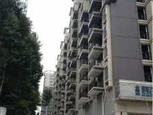 惠百氏广场 1房1厅1卫 51.48㎡