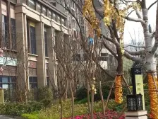 谢家湾 金茂珑悦三房