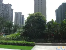 南沙珠江湾 4室2厅 北