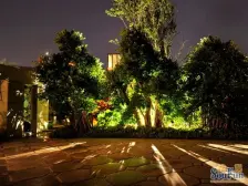 品质小区 东南朝向 看江景 离轻轨站近 精装修