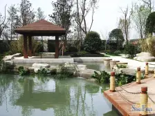 汇祥林里3000 三期朝中庭 小区绿化环境好,业主诚心卖