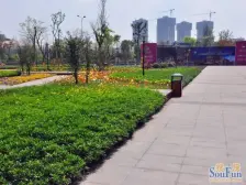 西城湖景 6室1厅 南