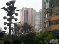 郁金香端头户型正规三房 朝向安静 看房方便 安心出售