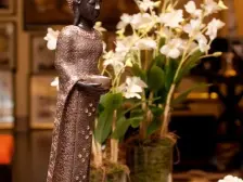 龙湖紫云台联排别墅,品质物业,服务保障。