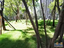 双轻轨公交旁精装三室离东原悦荟商场近的很