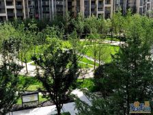 精装四房,拎包入住,配套成熟+出门即是轻轨