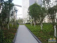 南滨路 诚投天邻水岸三房