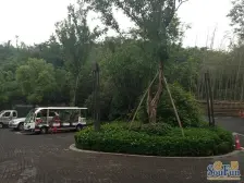 此房满两年,联排别墅,视野好,户型方正。带双车位。