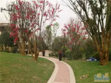 照母山 协信星都会(高层)二房110万