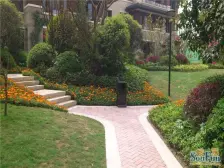 照母山精装两房 离轻轨近 中庭位置 可做小花园