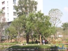 哈西 枫蓝国际 一室一厅 精装修 1、3号地铁