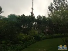 端户视野好,全朝中庭,无遮挡,户型方正