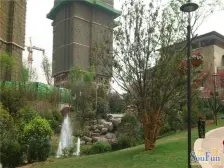 照母山 协信溪山墅四房600万