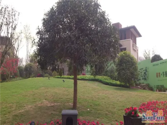 协信星都会溪山墅实景图