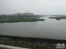 丰金紫金山庄一楼带院洋房打头带负一层带2车位!