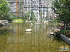 纳帕英郡南向两室明厅精装修封闭小区