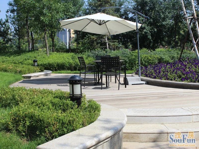 ���������,�۹���ͥ,��ʢ����