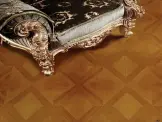 ľԭɫƴذ