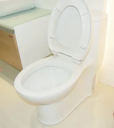 劳达斯卫浴 连体马桶 座便器 虹吸式节水抽水马桶106a