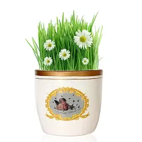 闻鹊喜陶瓷白色小天使系列阳台桌面花卉绿植盆栽用花盆