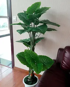 仿真树滴水观音树植物假花客厅装饰绿色绿植落地小盆栽盆景假树