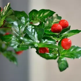 仿真植物假树 多层过胶高仿樱桃树-客厅礼品装饰欧式花艺家居创意
