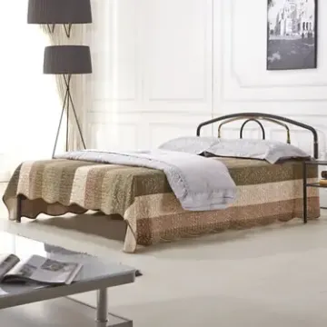 天坛家具 铁艺床钢管床 亮金双人床