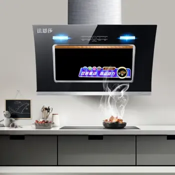 法恩莎(faensha) 油烟机 自动清洗 侧吸式双电机大吸力抽油烟机 cxw