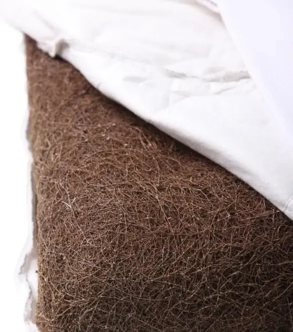 大自然健康植物棕枕a03