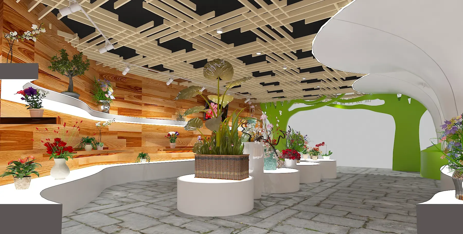 8万全包80平米植物科普展厅