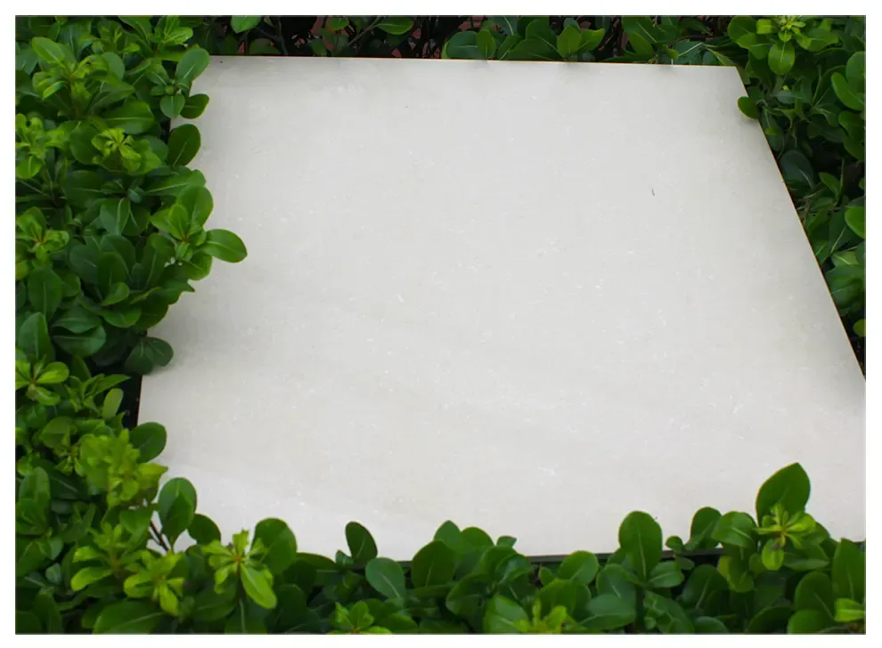 冠军瓷砖精品抛光砖全瓷化客厅卧室瓷砖书房地砖 600x600 pa60302